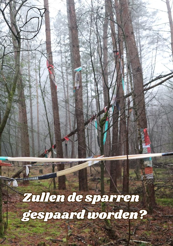 Zullen de sparren gespaard worden? Kunst