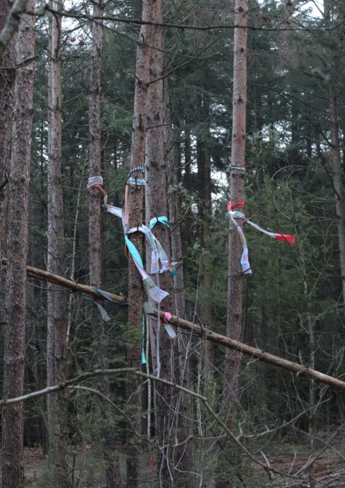 Zullen de sparren gespaard worden? Kunst
